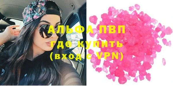 СК Белокуриха