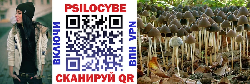 Псилоцибиновые грибы Cubensis  Курлово 